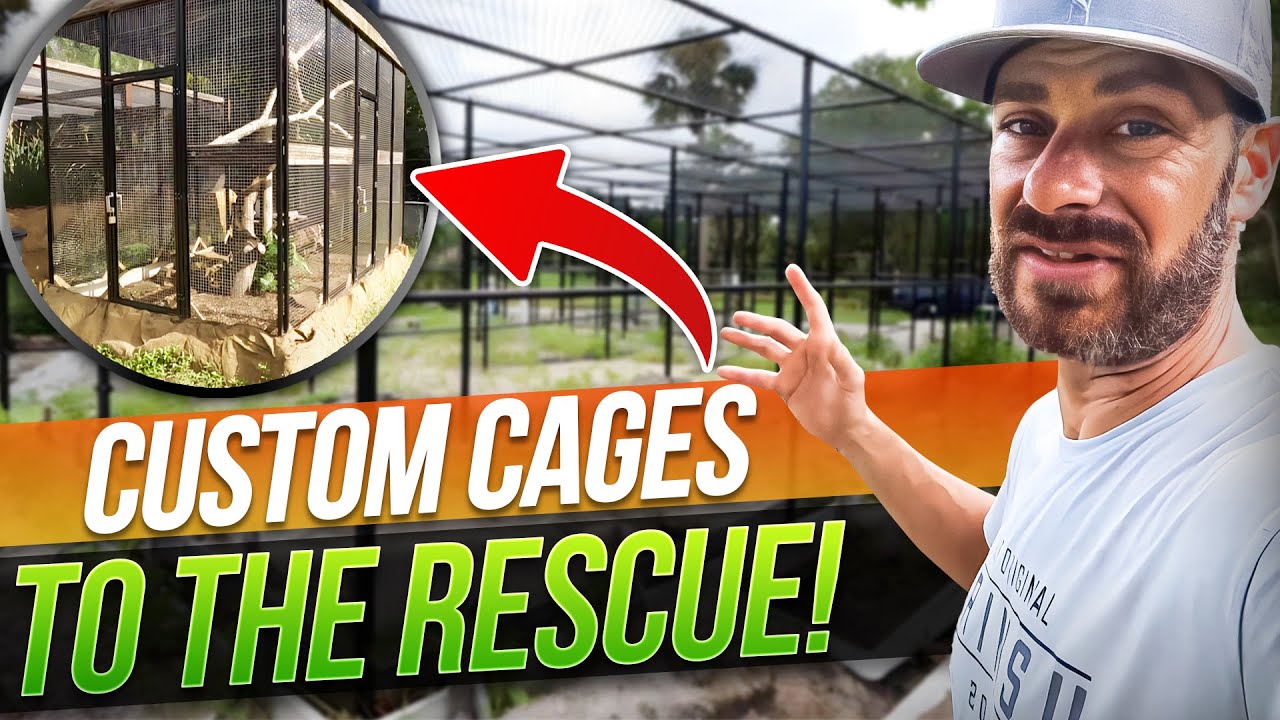 NEW ENCLOSURES for the Kamp & Busch!