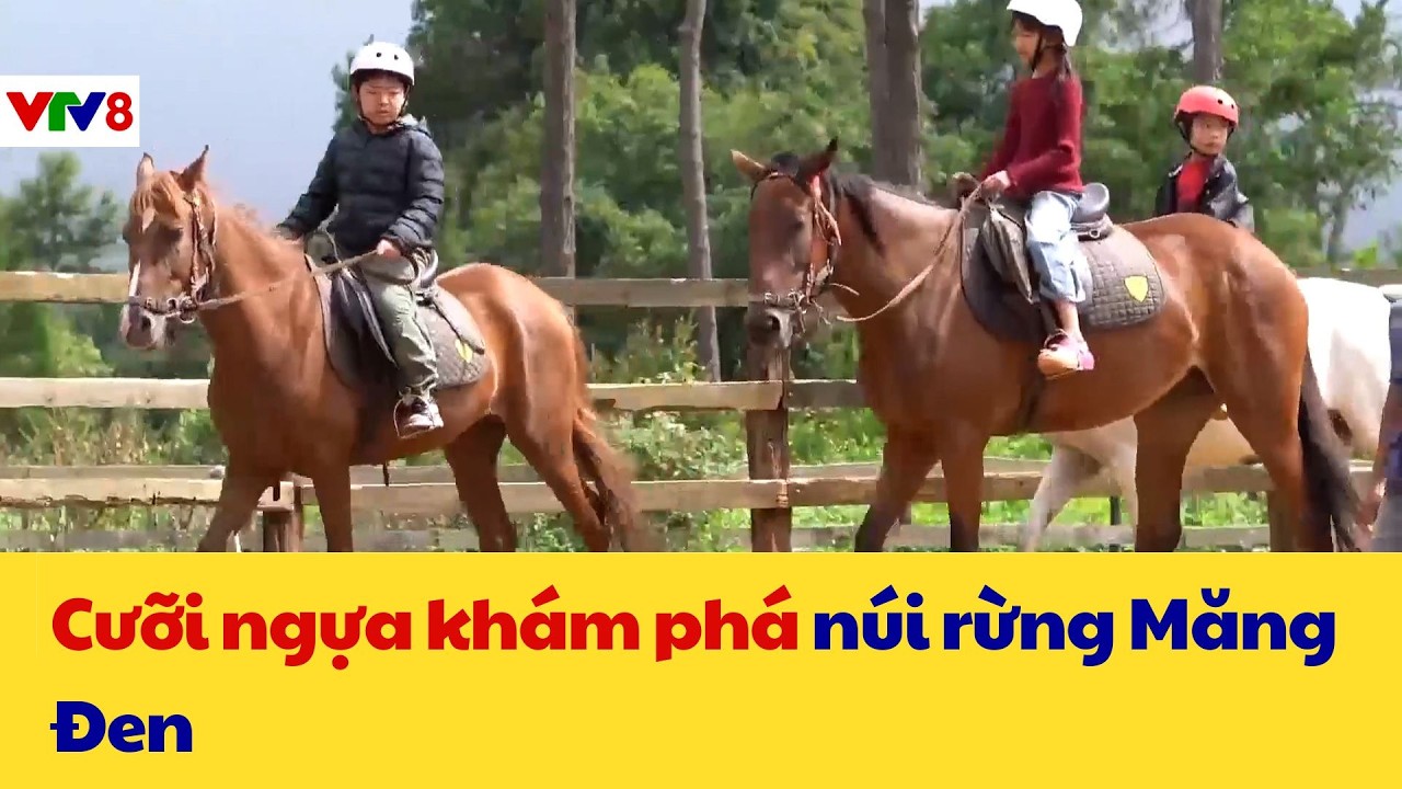 Thời Sự 18H : Cưỡi ngựa khám phá núi rừng Măng Đen