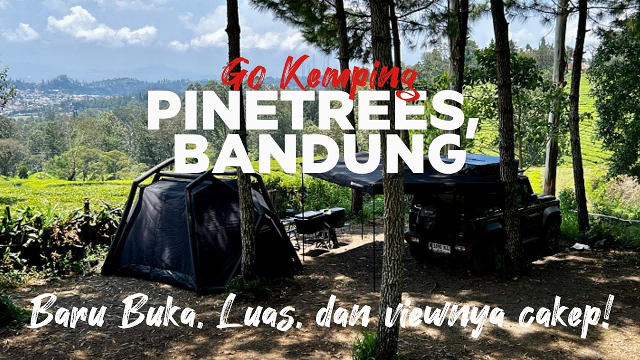 Bikin Betah! Baru Buka, Di Bawah Pohon Pinus, View Kebun Teh Dan Citylight Lembang di Pinetrees!