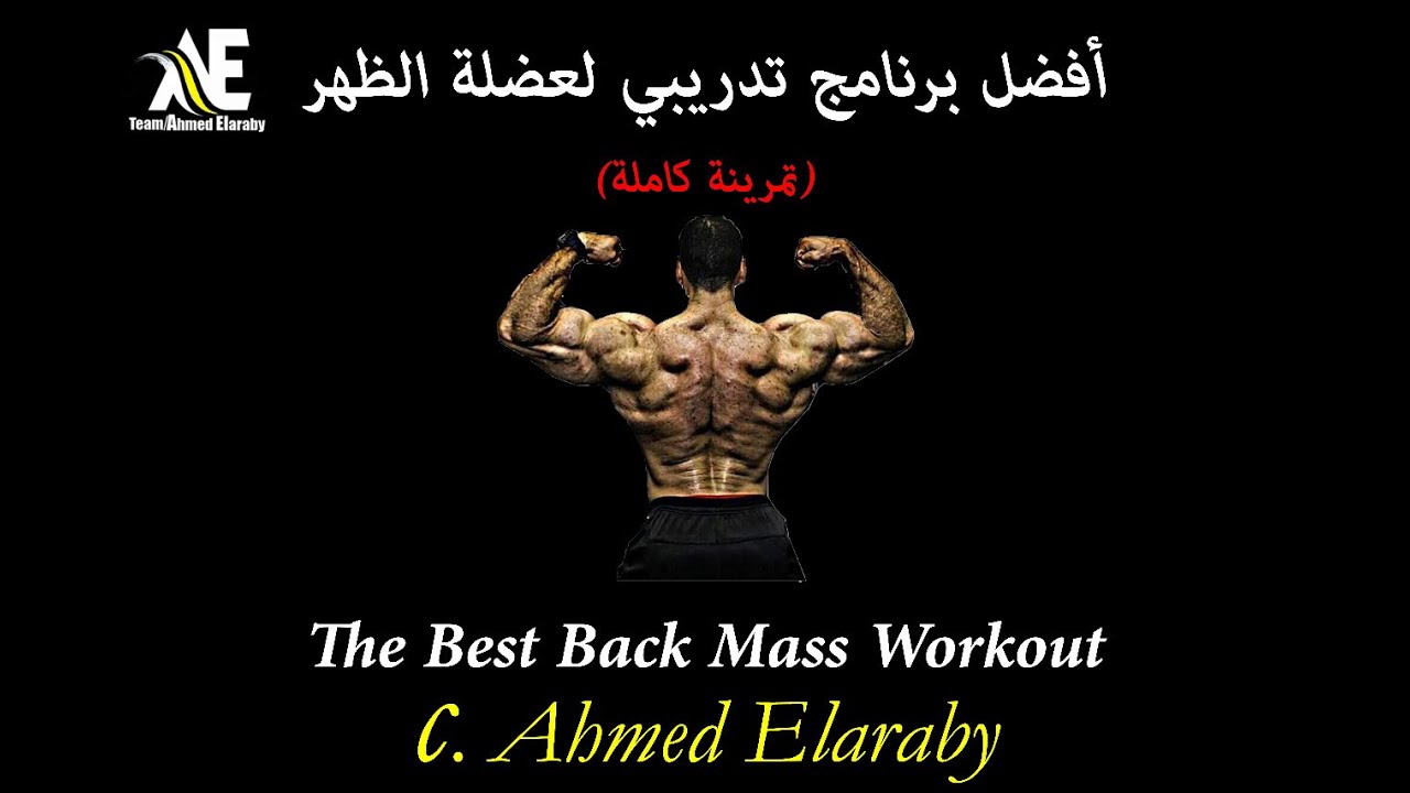 أفضل تمرينة لجميع زوايا عضلات الظهر (شرح علمي تفصيلي لضخامة عضلات الظهر)