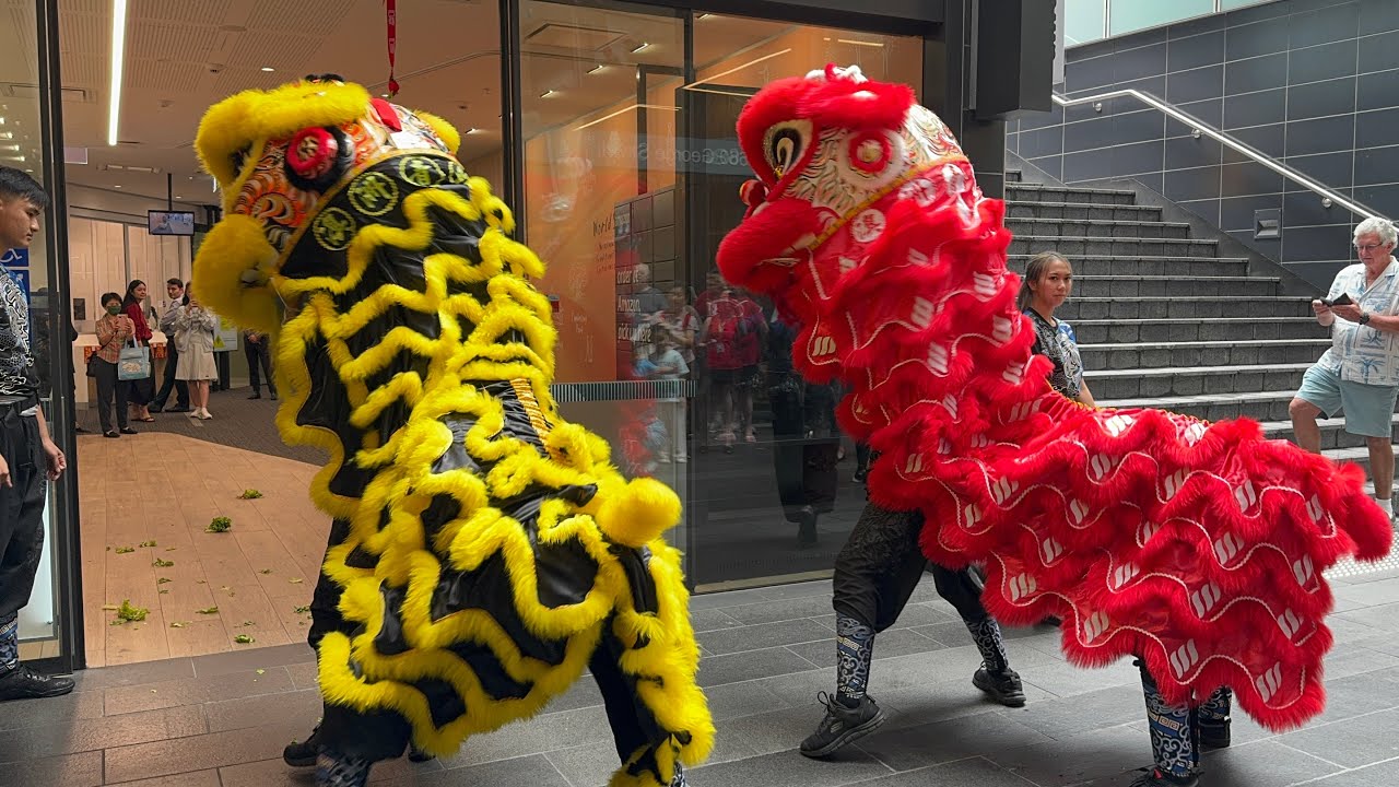 Lion Dance 2025  | Chinese New Year