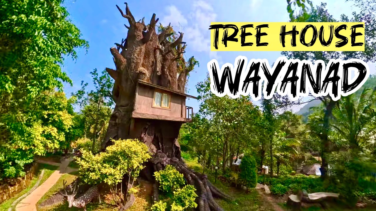 വയനാട്ടിലെ അടിപൊളി Tree House 🤩 #treehouse #wayanad #resort #kerala 