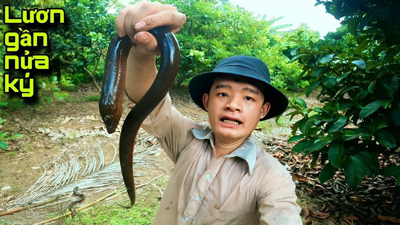 Mới sáng đã có niềm vui khi thăm cái lờ cá đầu tiên