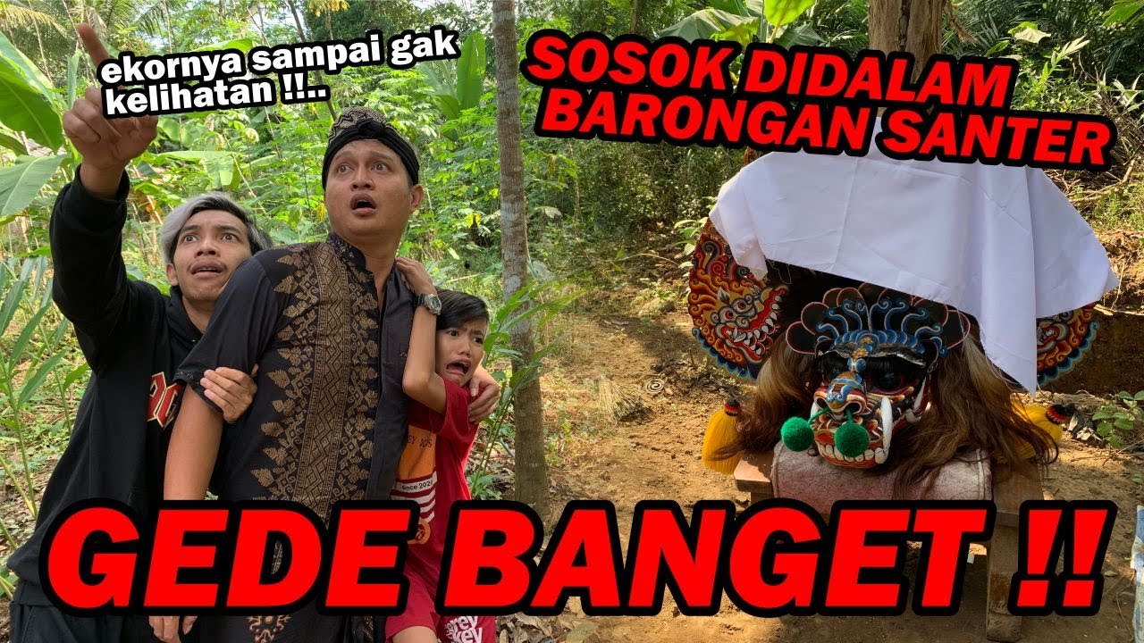 GEDE BANGET GAES !! gak nyangka ternyata isi barongan Santer seperti ini !!