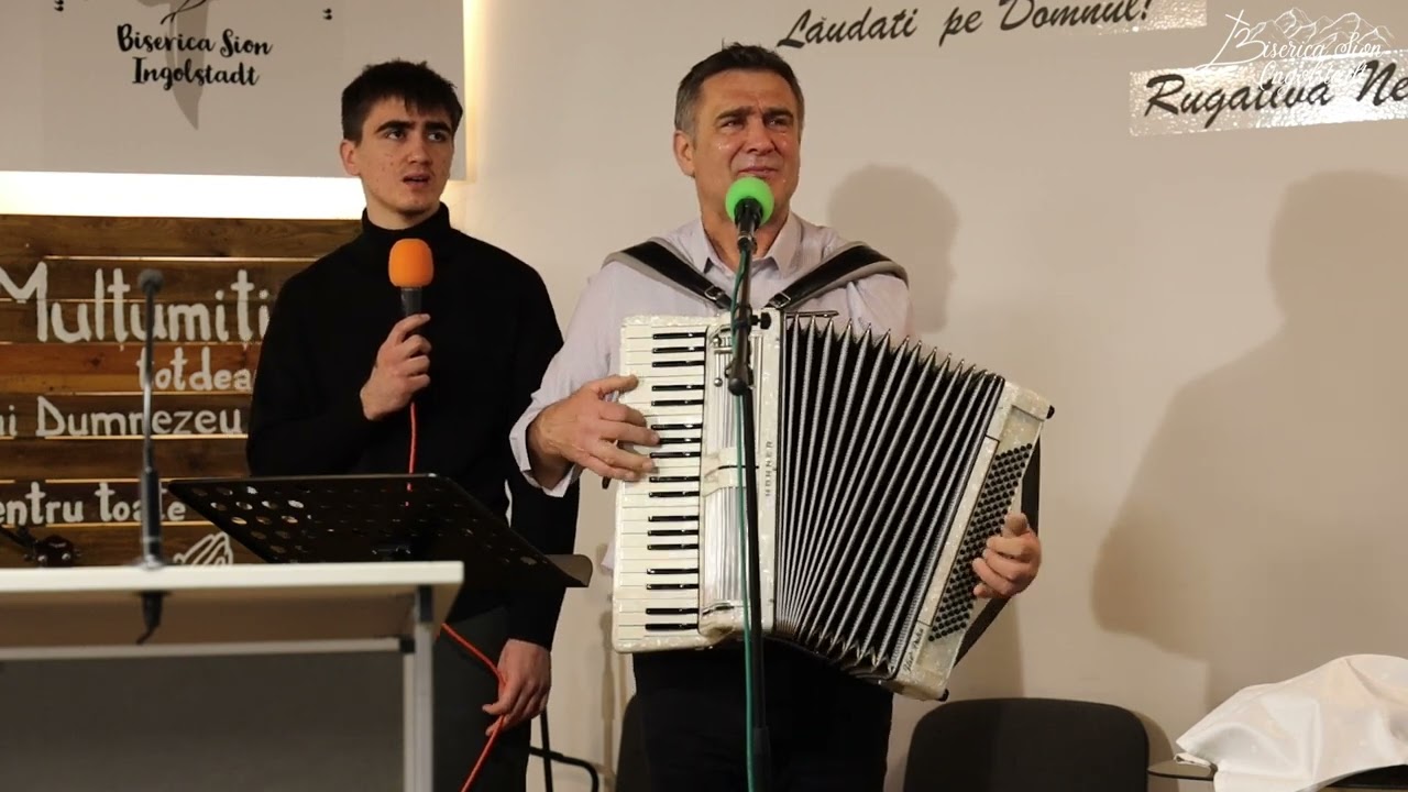 “Lacrimile de durere” - Ilie și David Puha