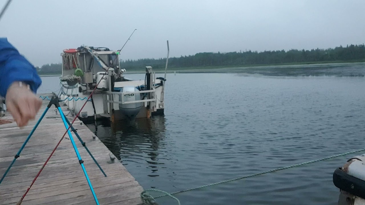 바다 장어낚시 PEI.1탄