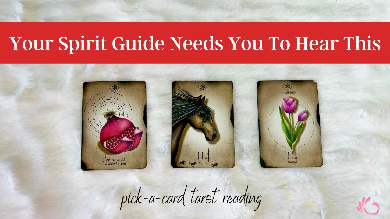 Your Spirit Guides Need To Tell You Something! // pick-a-card tarot reading channeled from Spirit