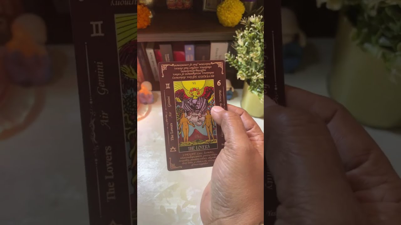 Divine_blessing_613_ is live