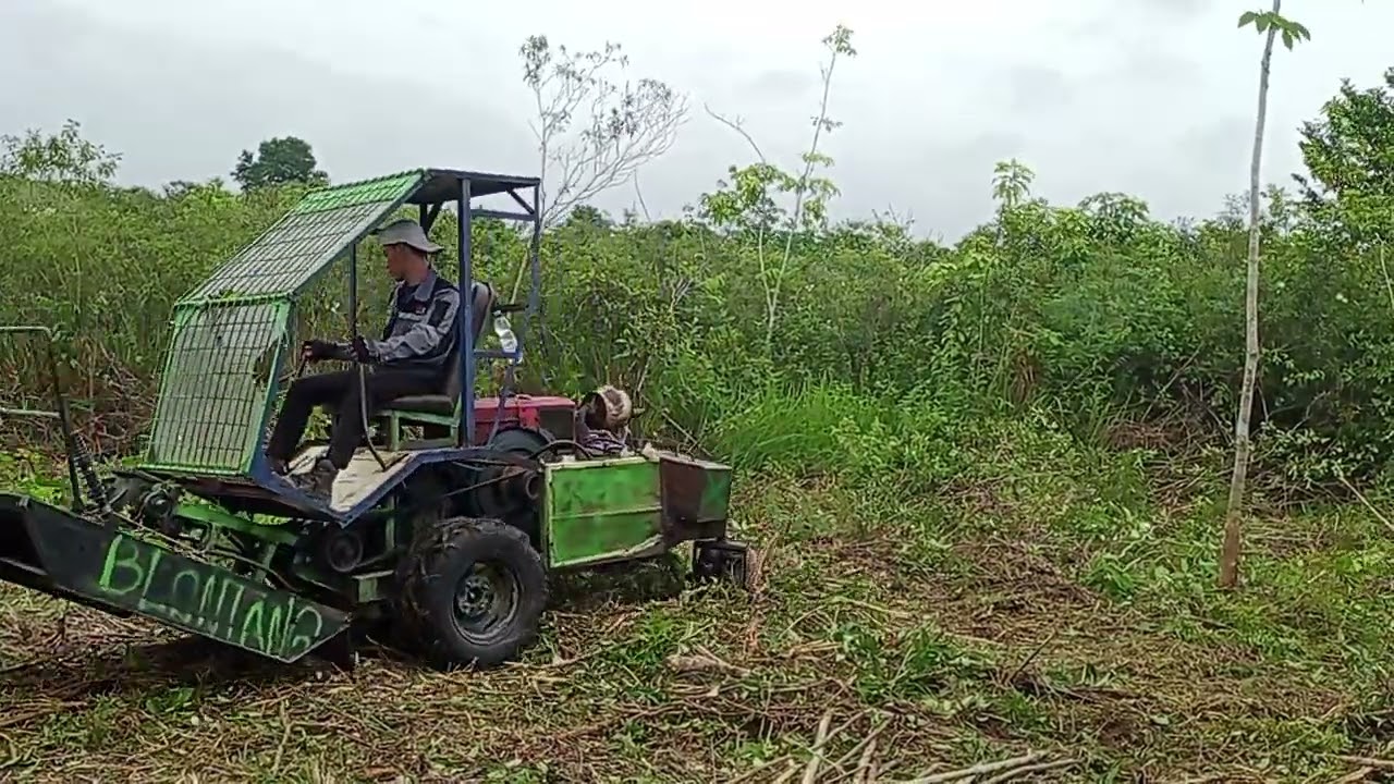 waw monster hutan, pelopor mower musantara