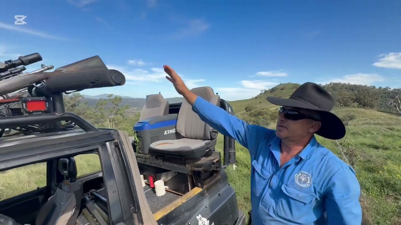 A Quick Look at our Hunting buggy