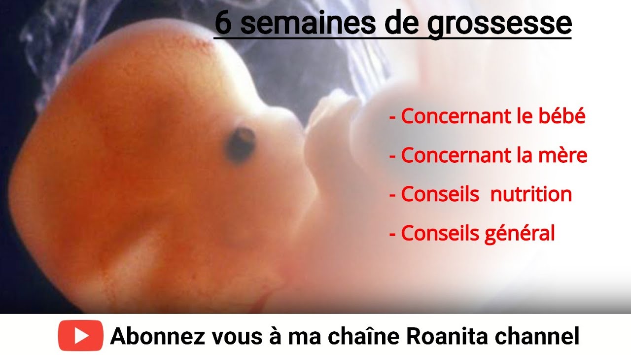6 semaines de grossesse : tout ce que vous devriez savoir #grossesse