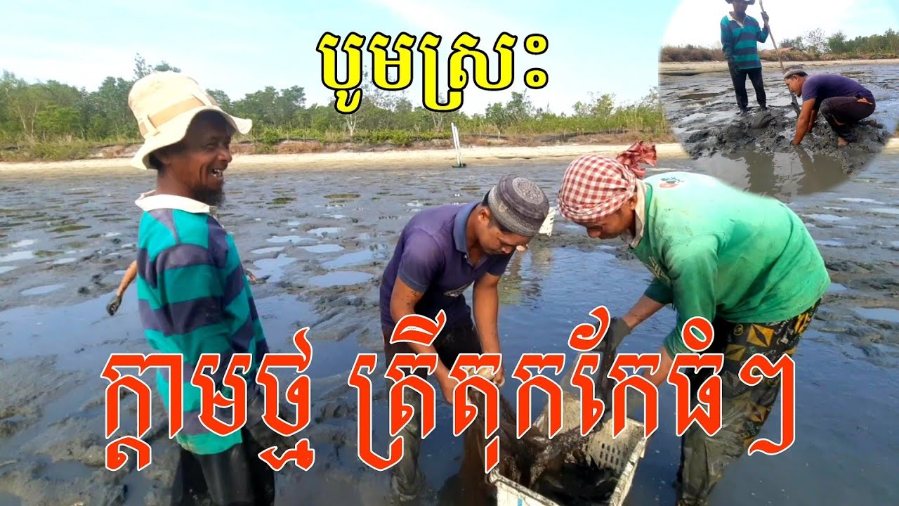 បូមស្រះ ចាប់ក្តាមថ្ម🦀🦀 ត្រីតុកកែ🐟🐟ត្រីម្រច🐠🐠