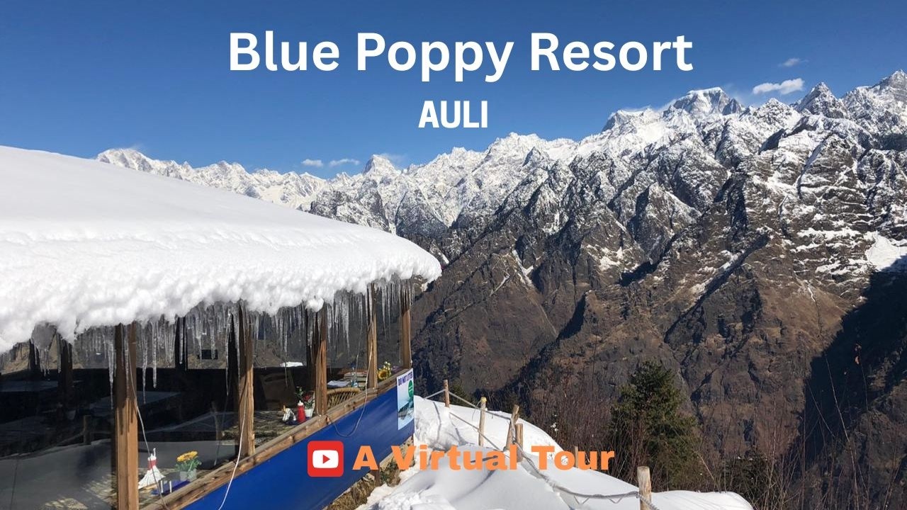 Explore the Best Resort in Auli With Spectacular Views ⛰️ | Blue Poppy Auli