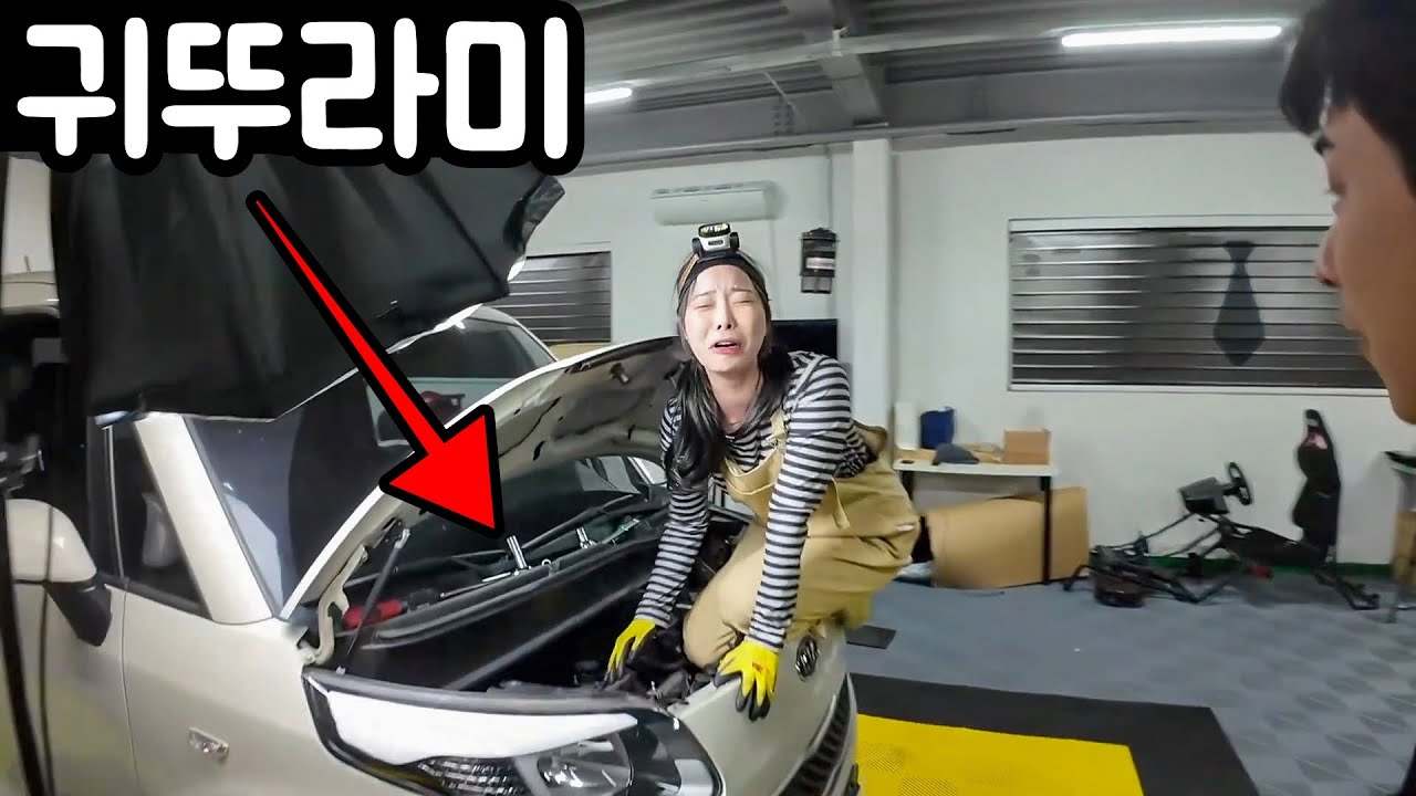 제 차에 귀뚜라미가 살아요..!