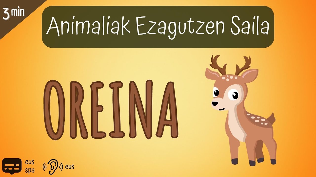Animaliak 5x03 OREINA | Basoko Animaliak | Ugaztunak