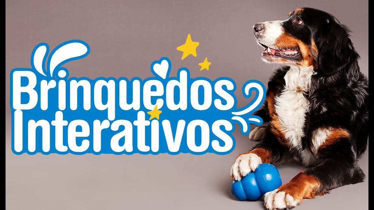 Review: Brinquedos Interativos para Cachorros