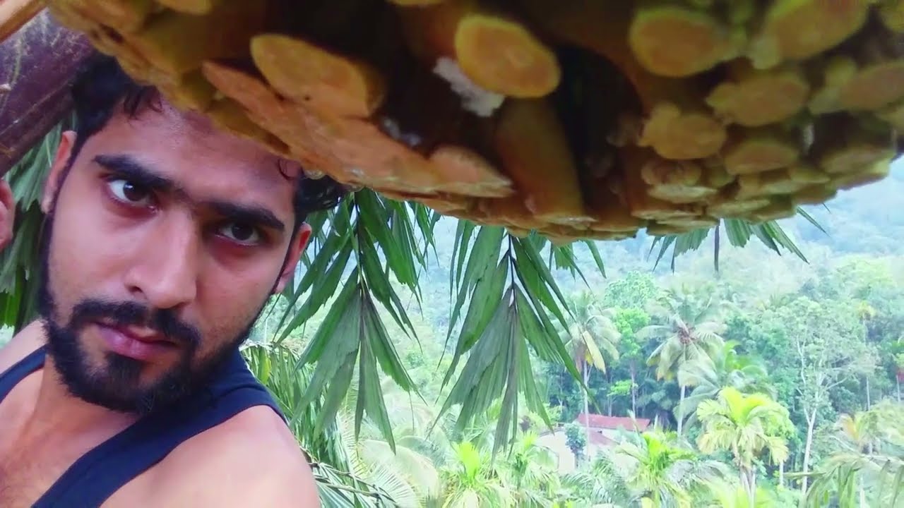 කිතුල් රා kithul ra | Sri Lanka