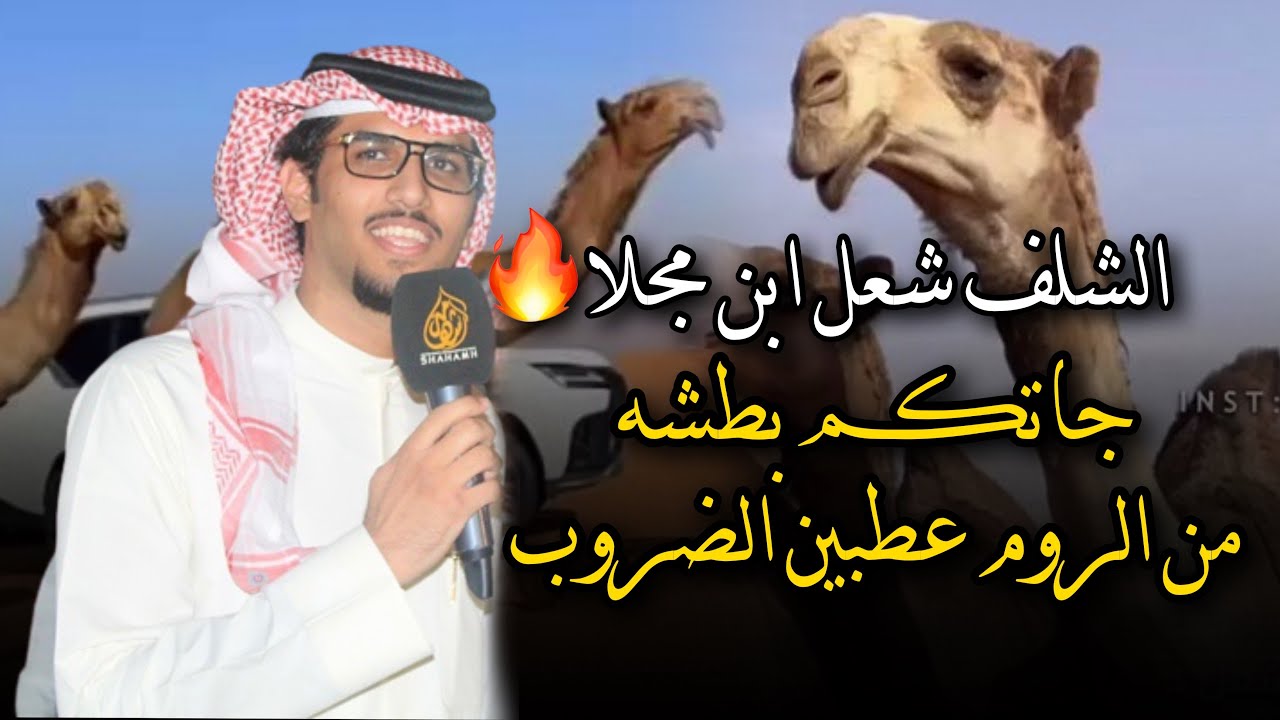 خالد ال بريك & جاتكم بطشه من الروم عطبين الضروب🔥 الشلف منقية ابن مجلا الشيباني 2023 حصريا