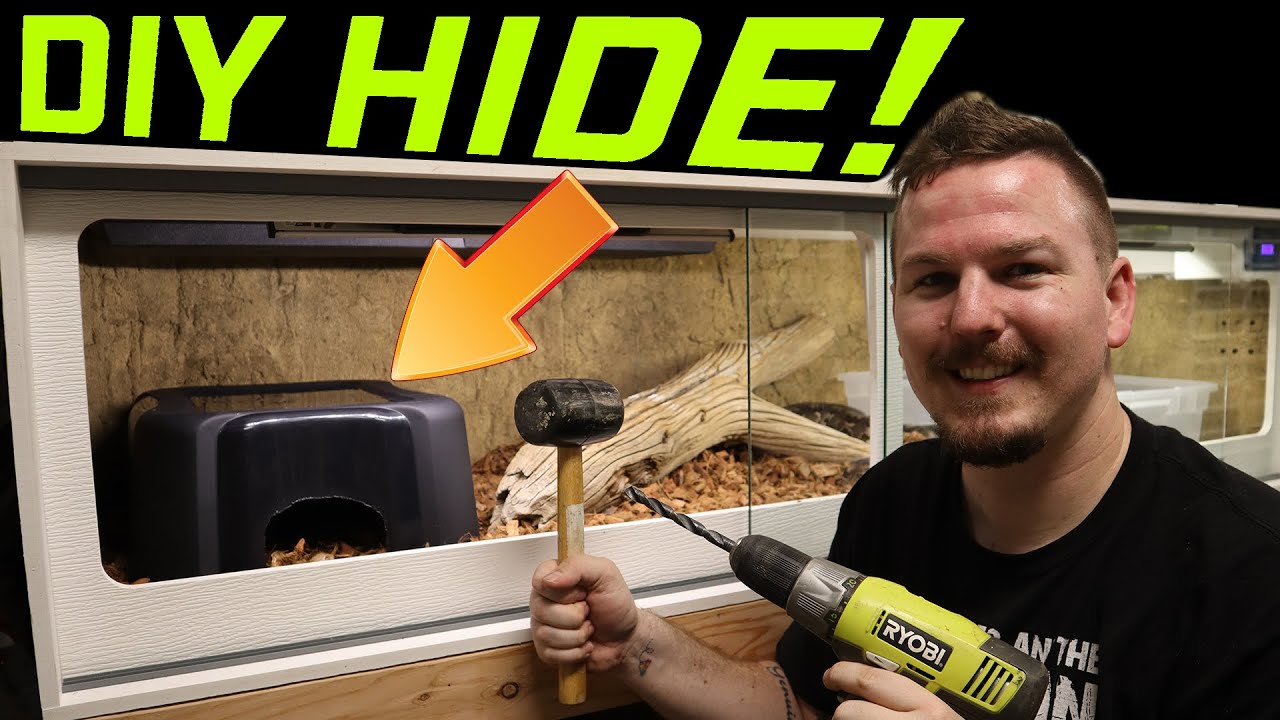 DIY HIDE FOR HUGE SNAKE!!! Mixology #72