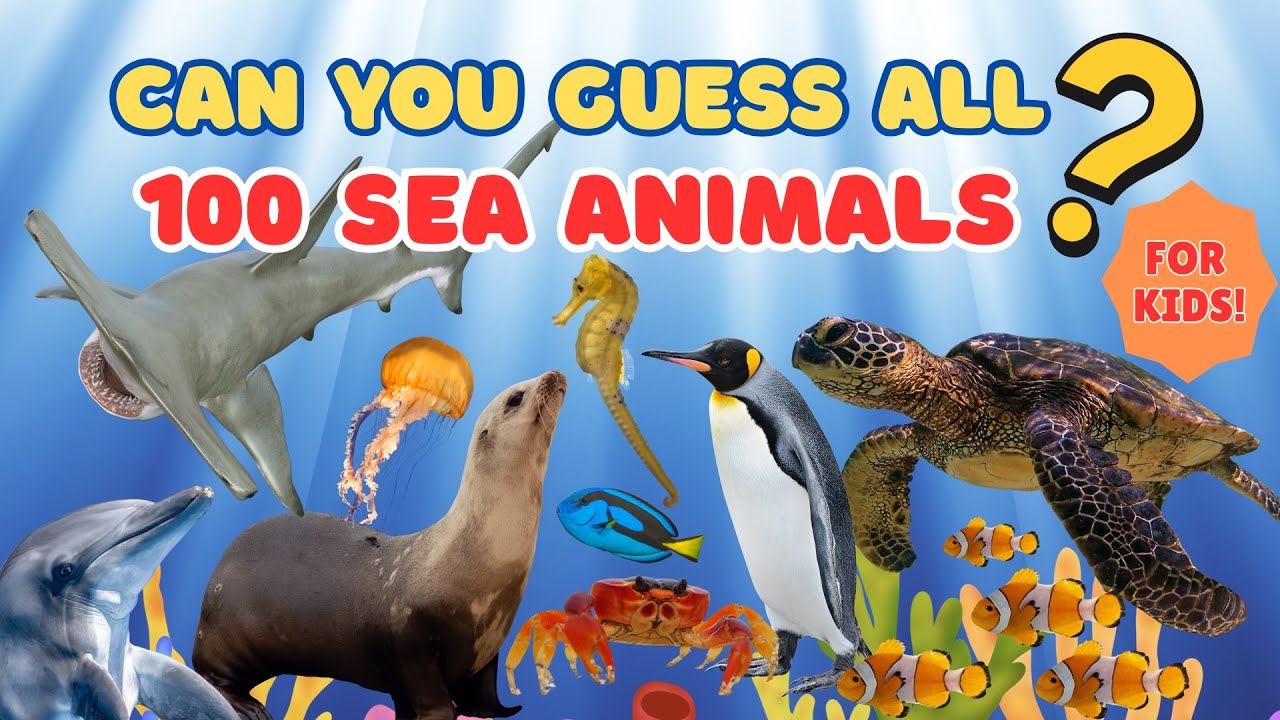 Can You Guess All 100 Sea Animals? 🐙 Fun Quiz for Kids & Toddlers | Ocean Quiz Challenge