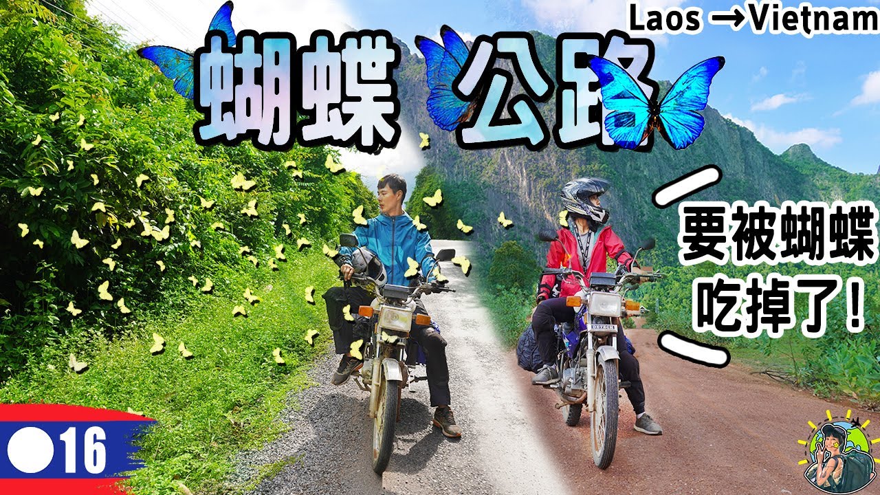 蝴蝶風暴！ 騎了80公里竟然全都是蝴蝶!  寮國旅遊 Ep16