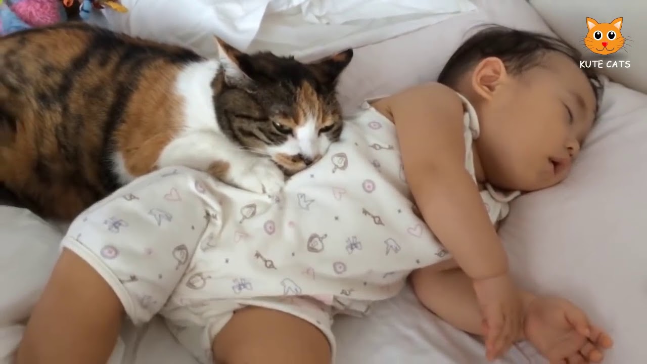 Macet i Duan Bebet | Cute cats and Babies
