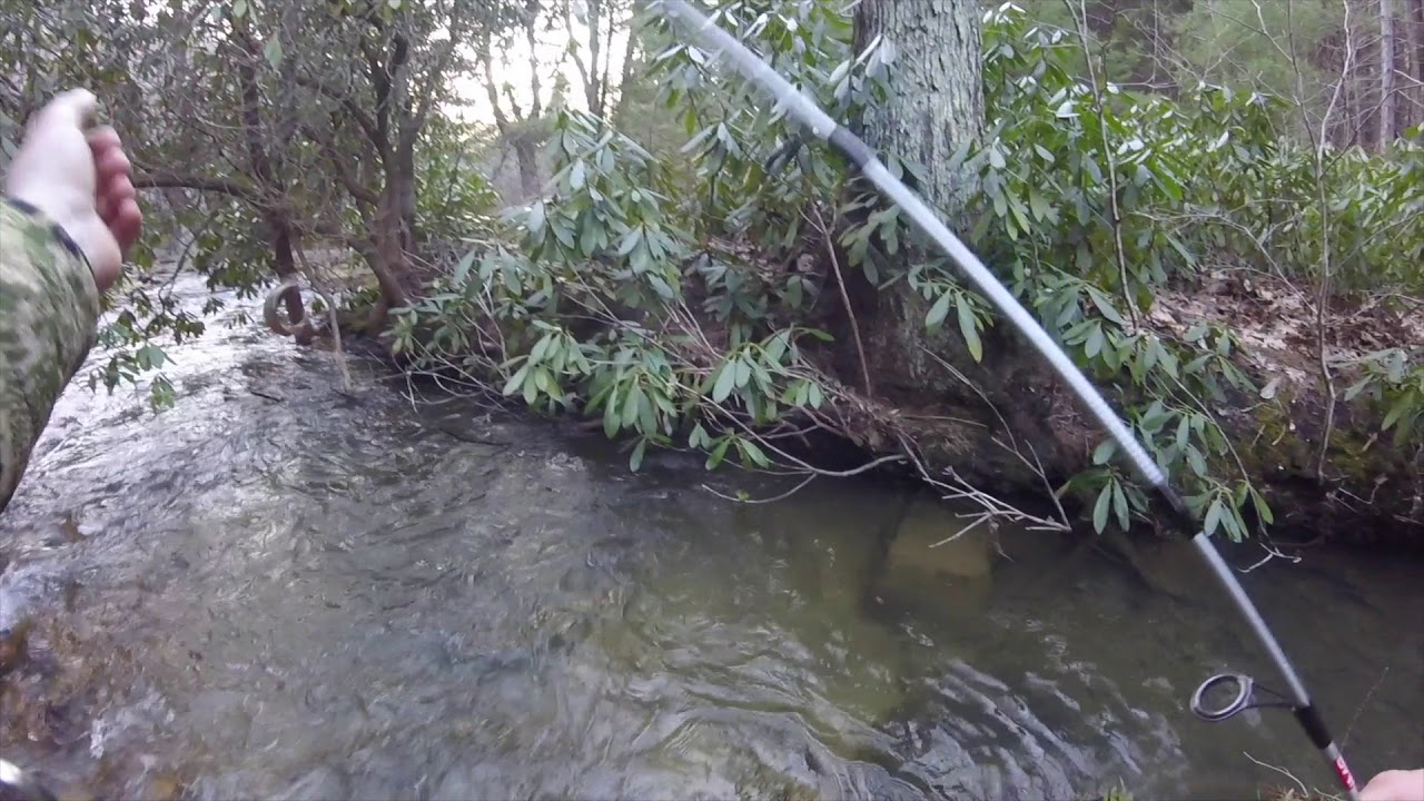 Clear Creek Pa Fishing Trip Spring 2018