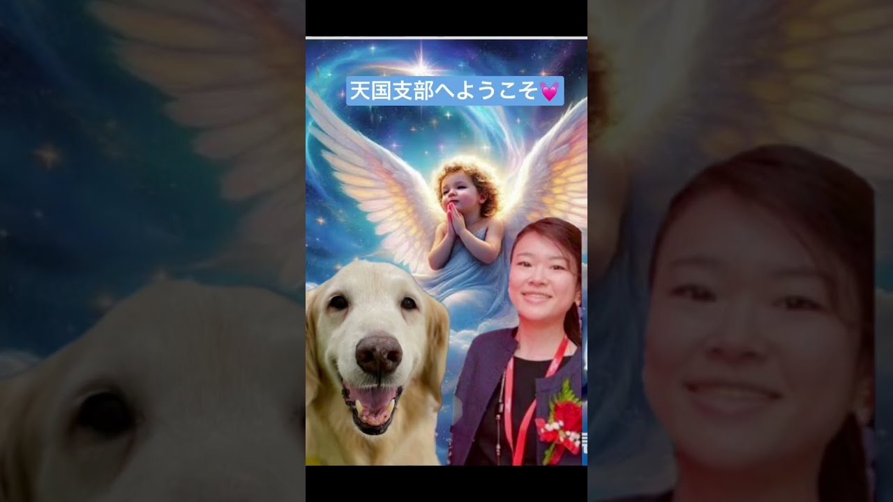 【ペット里親会】慰霊祭
