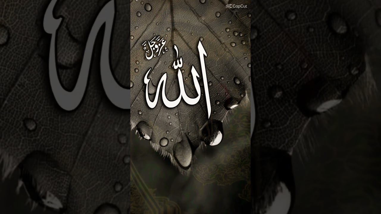 ❤️👆🏻Allahﷻ ❤️👆🏻 #subscribe #reels #saudiarabia #makkah #ytshorts #best #viral #allahﷻ