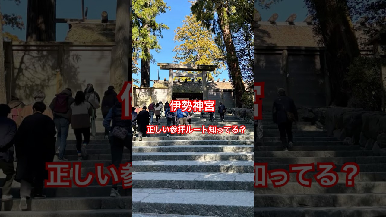 伊勢神宮｜外宮から内宮へ。感謝の参拝ルート、知ってる？　#伊勢神宮 #外宮から内宮へ  #神社巡り #パワースポット #日本の神社 #神社参拝 #旅行好きと繋がりたい 　VOICEVOX:青山龍星