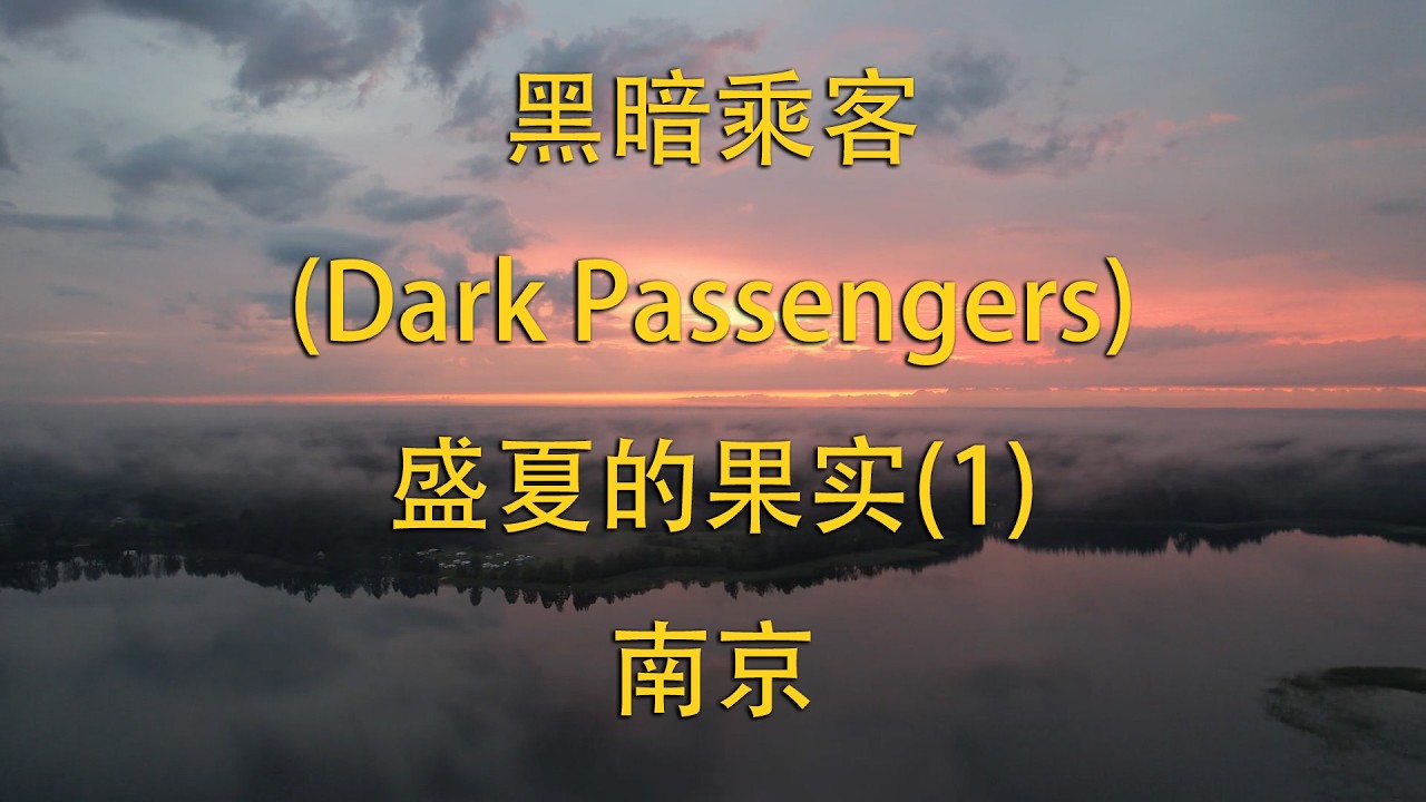 黑暗乘客（Dark Passengers）——盛夏的果实(1)-南京（Gang stalking）