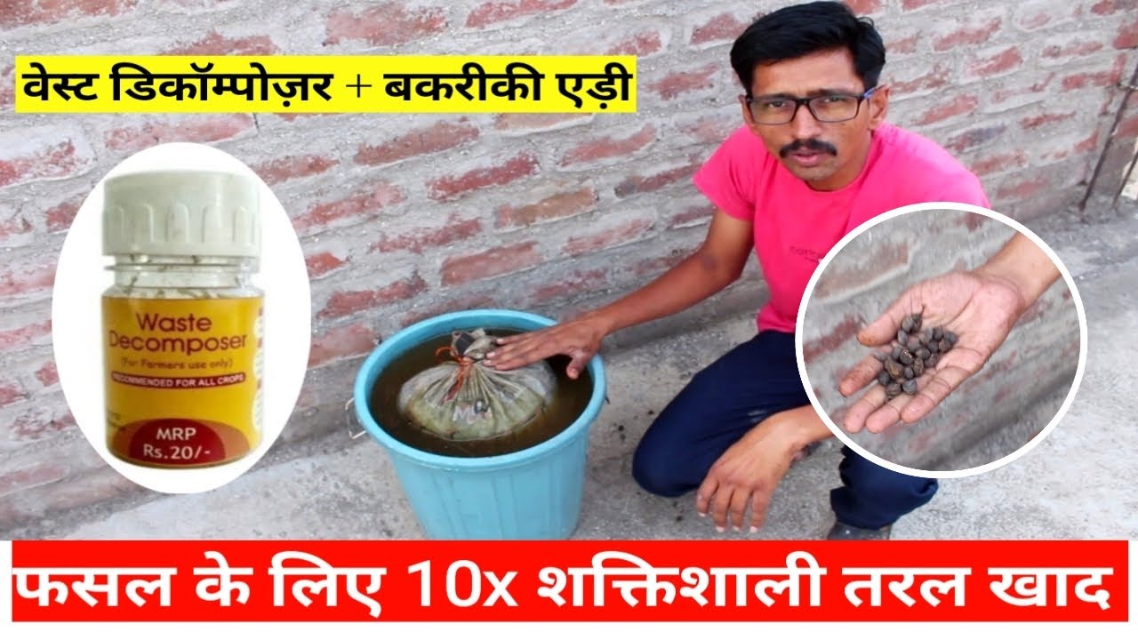 वेस्ट डिकम्पोज़र और बकरी की एडिसे शक्तिशाली तरल खाद बनाये | Waste Decomposer 10x with Goat Manure