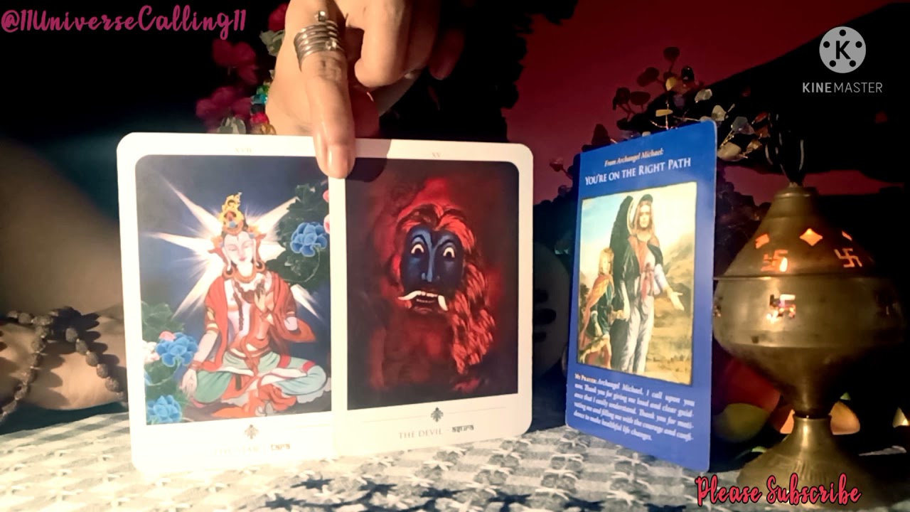 🗡️Daily Messages From The Universe | You Are Absolutely On The Right Path....☺️🌿🌠