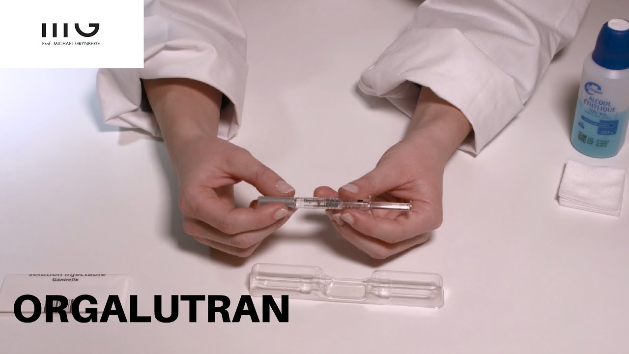 ORGALUTRAN _ Tutoriel