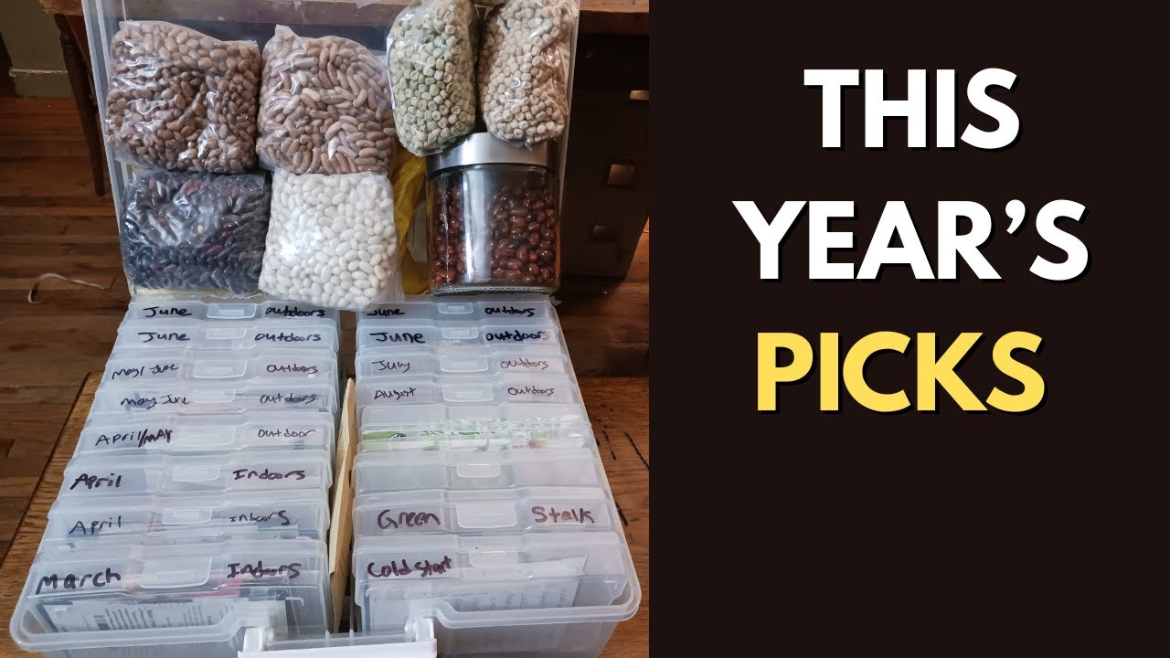 Full Garden Seed Haul