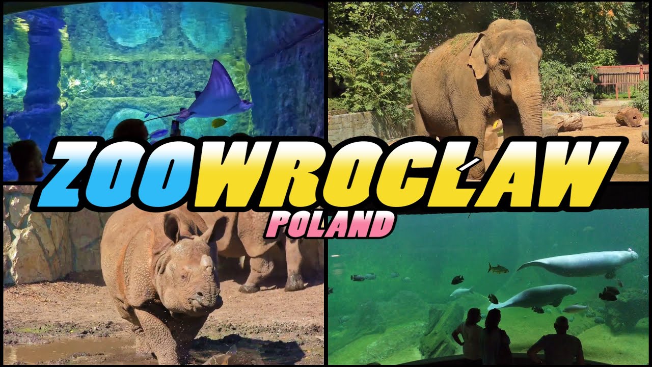 ZOO WROCŁAW - Afrykarium Zoo Wrocław - Poland (4k)
