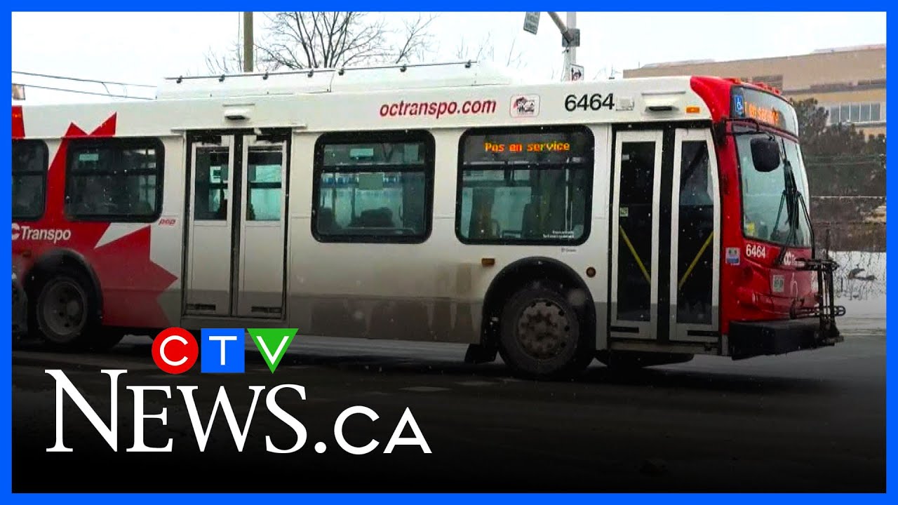 OC Transpo service improving after trip cancellations