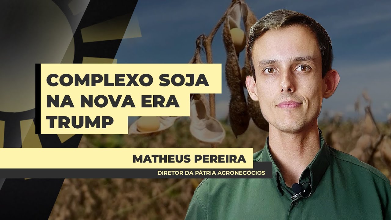 Mercado da soja segue dividido entre perdas da safra no BR e nova era Trump para definir direção dos