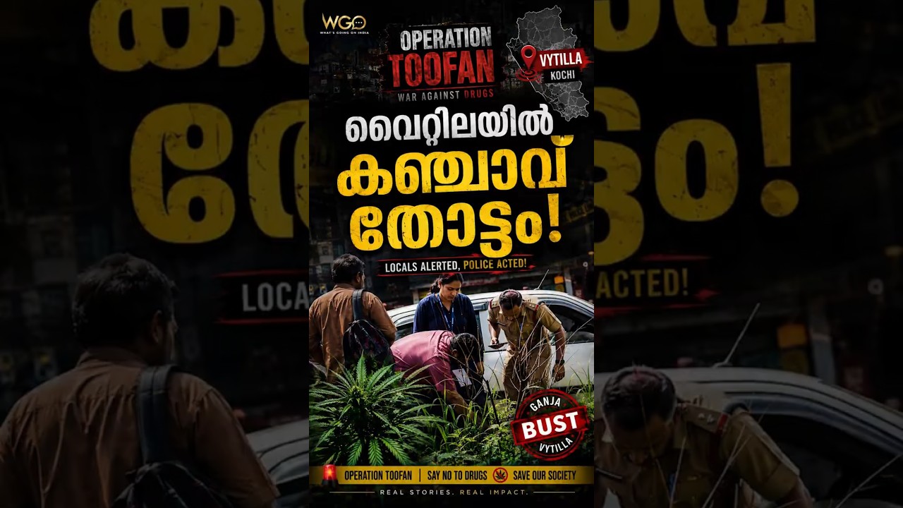 Kochi Metro Vyttila Cannabis Plant Found | Excise Registers Case | Kerala News Malayalam