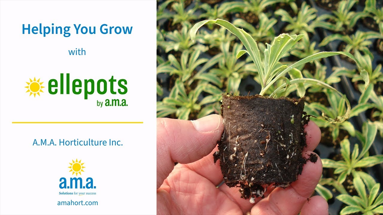 Helping you Grow with Ellepots by A.M.A.