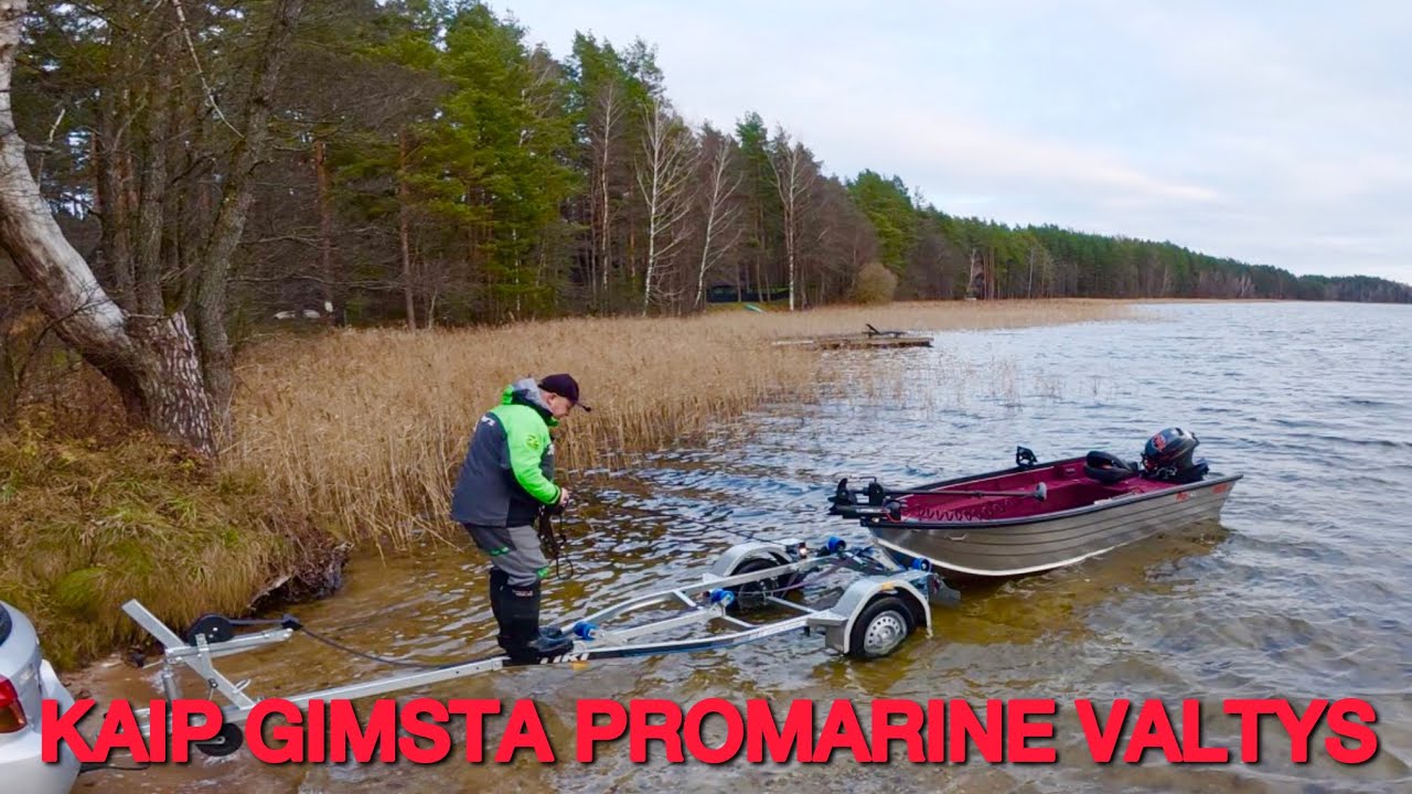 SUŽINOK KAIP GIMSTA PROMARINE ALIUMINĖS VALTYS 2025 #80