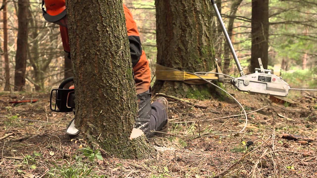 Clip 12 - SICUREZZA negli ABBATTIMENTI PARTICOLARI