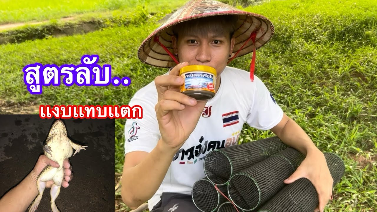 กบเข้าดี เเงบดักกบเกือบเเตก เหยื่อดักล่อกบมีอยู่2อย่าง จะได้เยอะหรือน้อยมาลุ้นกันครับ