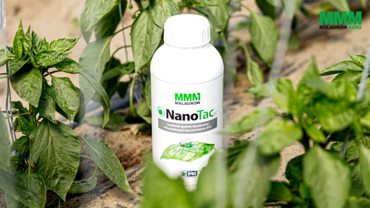 Hogyan működik a NanoTac EC? | Új, kizárólag fizikai hatású rovarölő szer