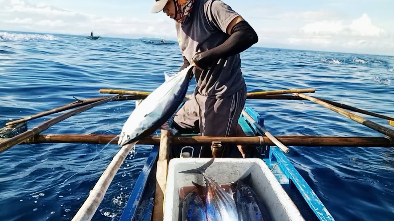 Habol Dito Habol Duon | Karera Para sa Maagang Pamasko ng mga Gulyasan | Skipjack Tuna Fishing