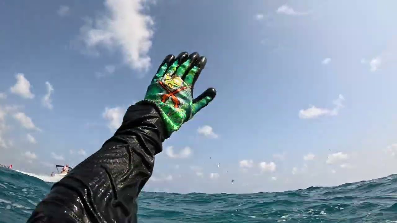 Дорада поймал в море за жабры на ужин.Dorada left the harpoon into the sea.Arpione Dorada nel mare !