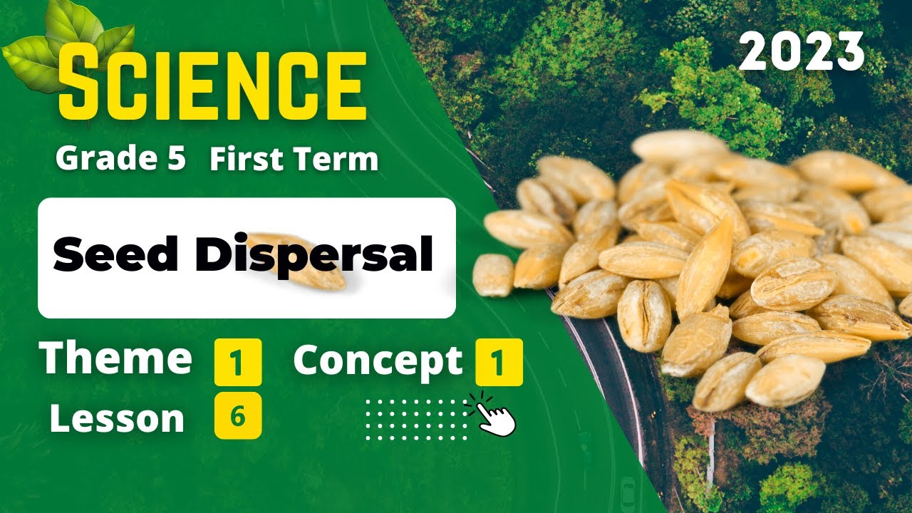 Grade 5 | Science | Unit 1 - Concept 1 - Lesson 6 - Seed Dispersal