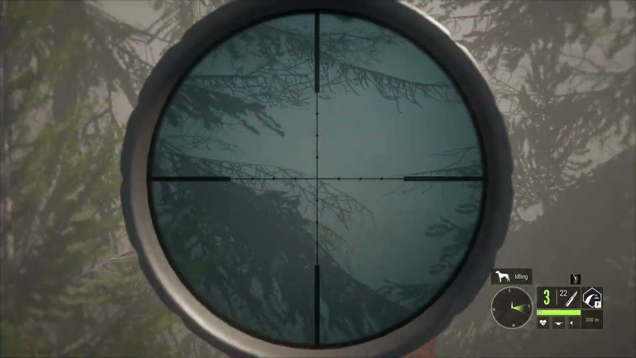 Elk Gold (Subscribe🙂‍↕️) Hunter Call of the Wild