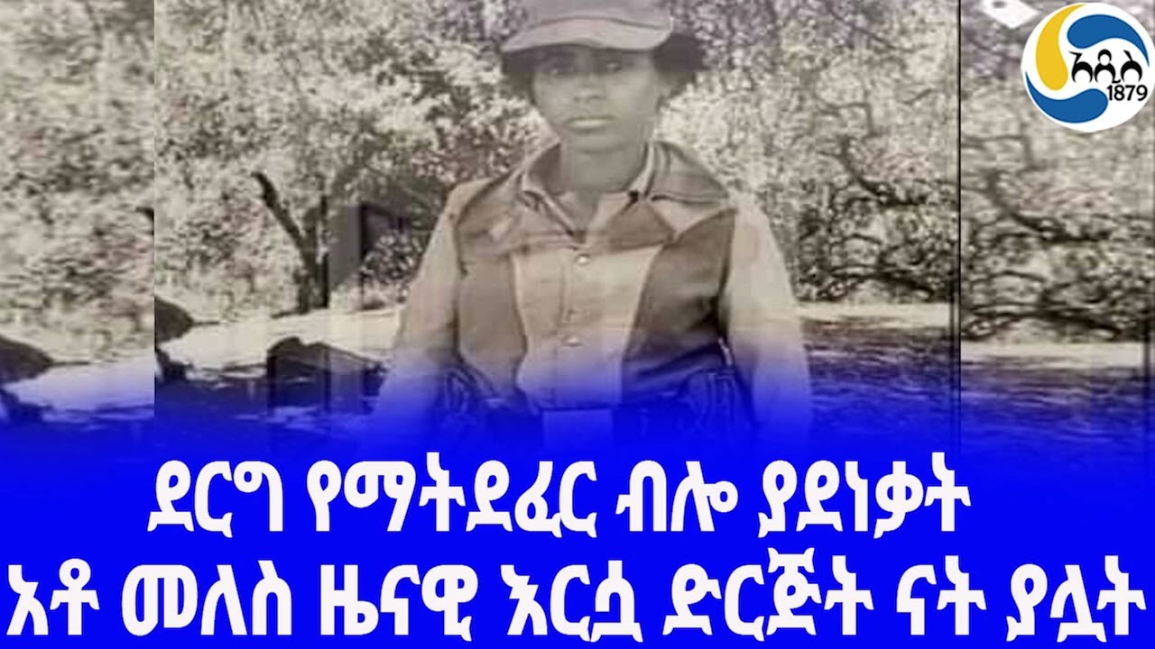 Ethiopia [ታሪክ]አቶ መለስ ዜናዊ እርሷ ድርጅት ናት ያሏት  Meles Zenawi | አዲስ አበባ | Paul Henze