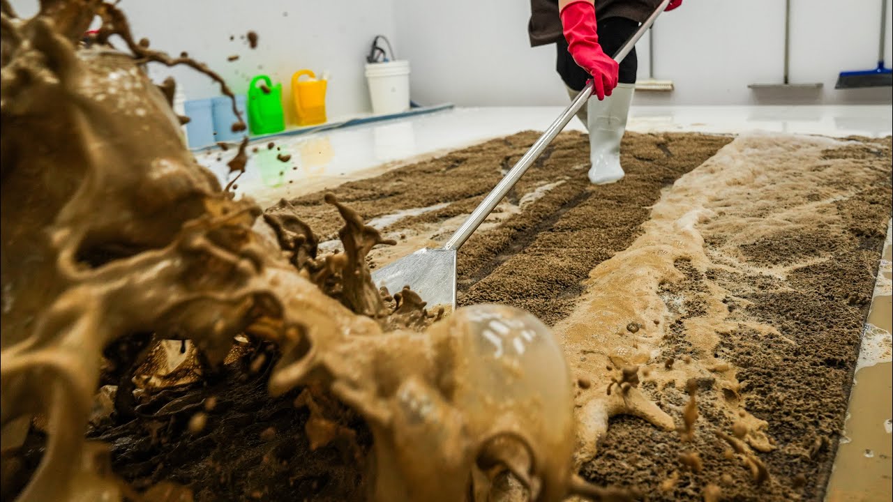 Extremely Dirty Rug Cleaning | Mud Explosion Carpet Wash ASMR